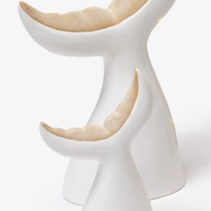 Coda balena